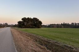 300 Clio Rd. photo 4