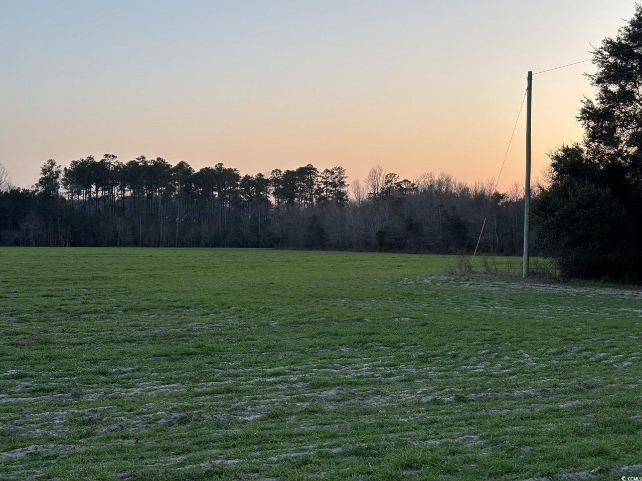 300 Clio Rd. Photo 6