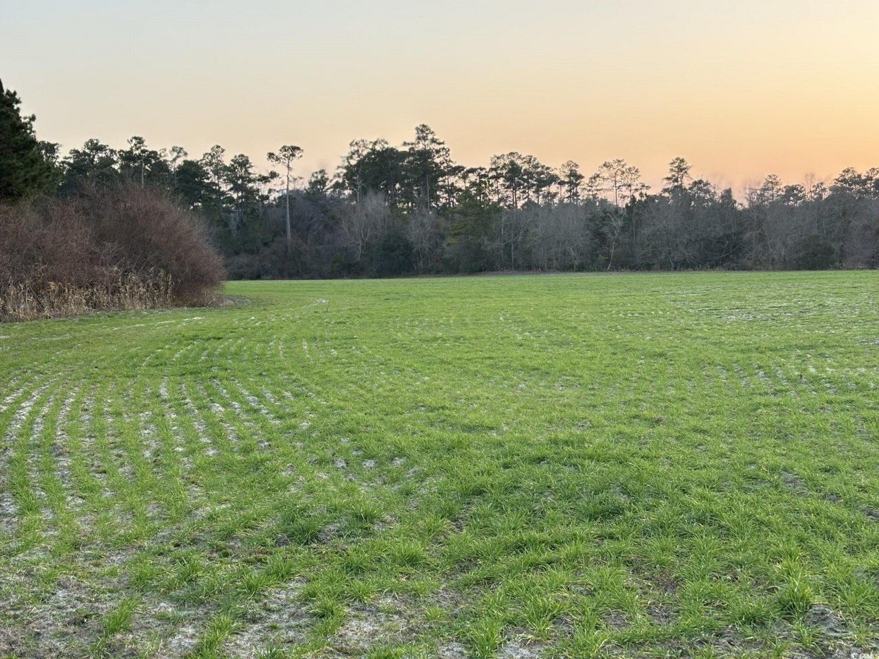 300 Clio Rd. Photo 7