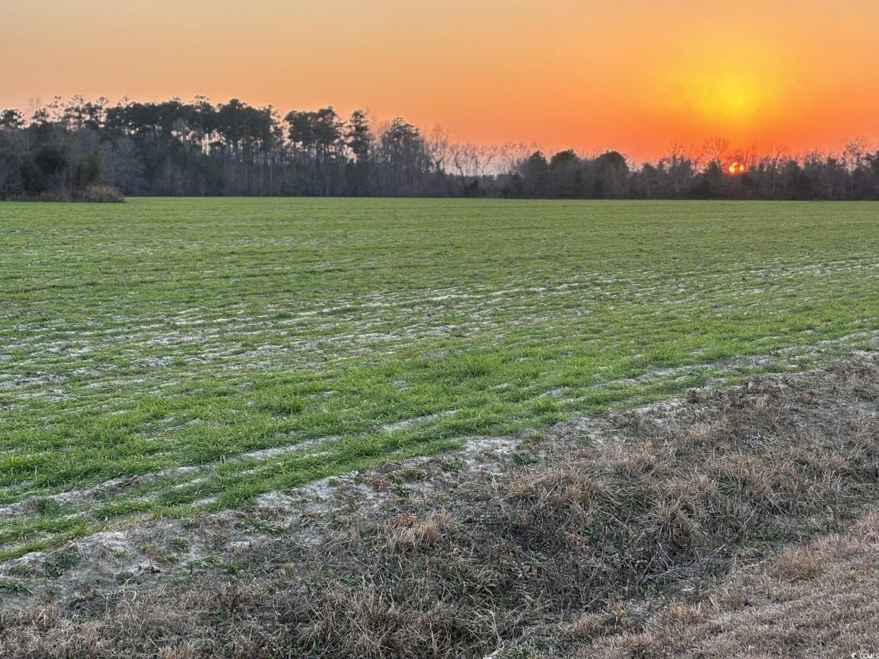 300 Clio Rd. Photo 8