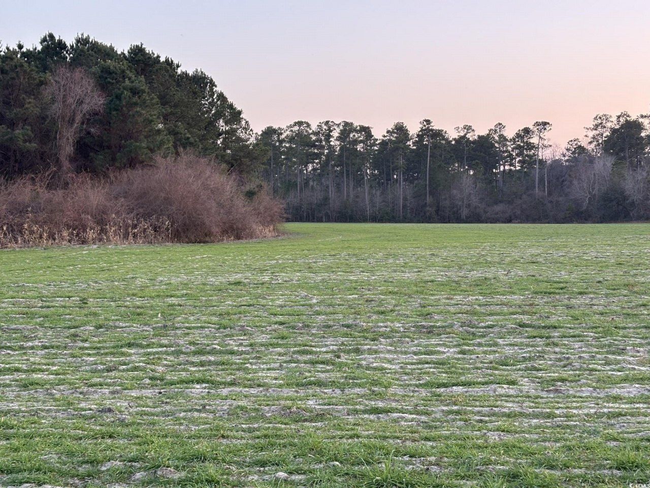 300 Clio Rd. Photo 9