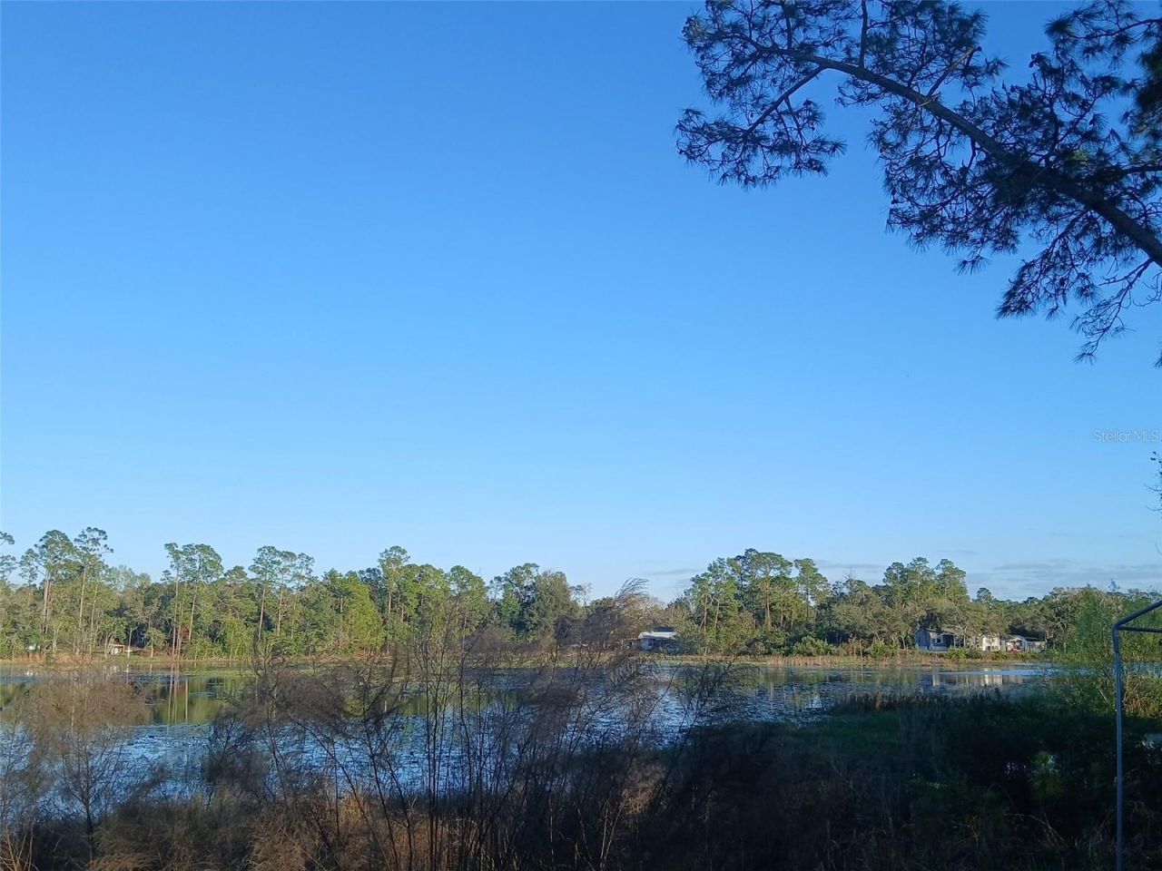 43648 S Island Drive, Paisley, FL 32767 Photo