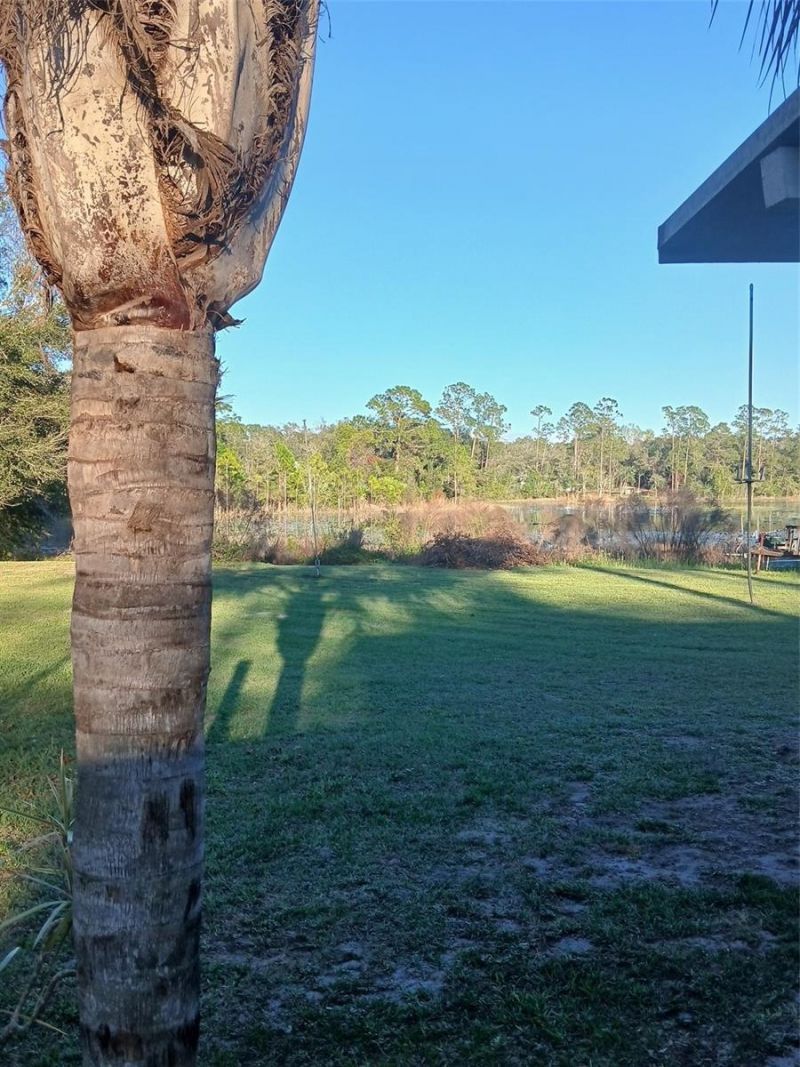 43648 S Island Drive, Paisley, FL 32767 Photo