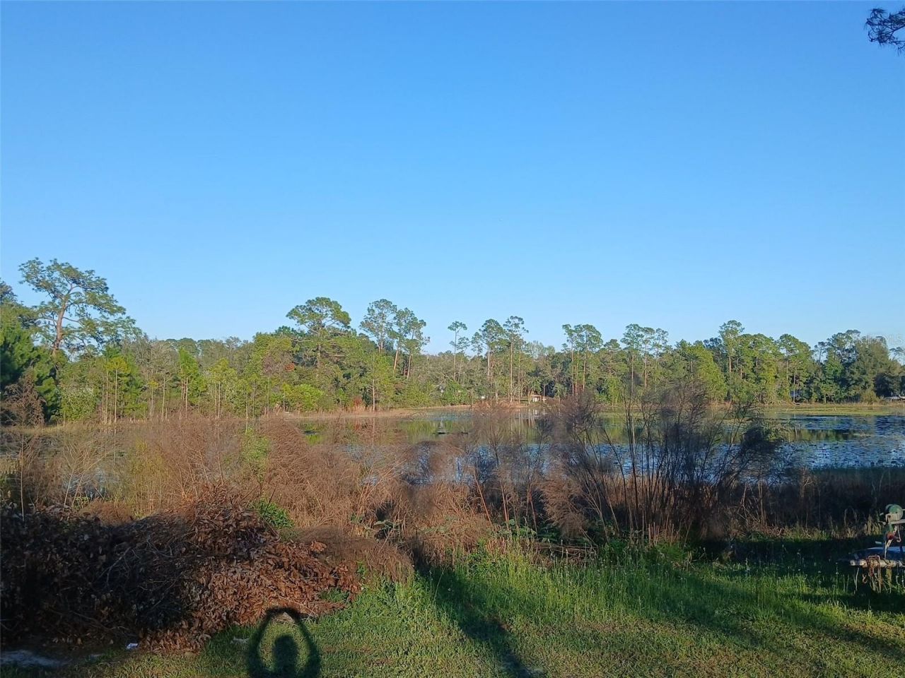 43648 S Island Drive, Paisley, FL 32767 Photo