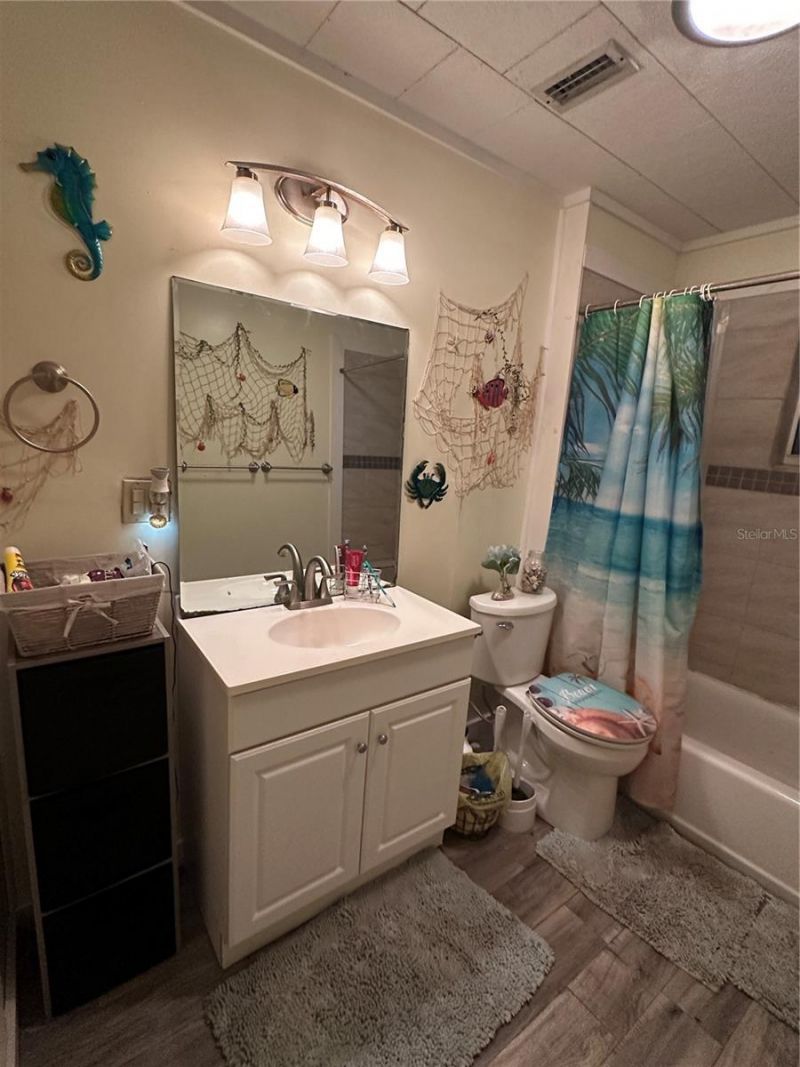 43648 S Island Drive, Paisley, FL 32767 Photo