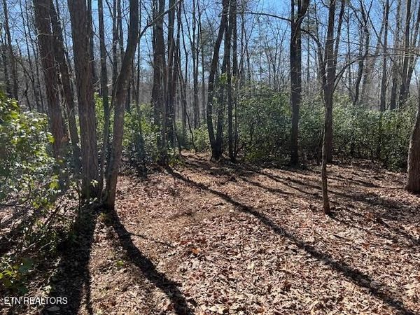 Cliff Park Rd, Monterey, TN 38574