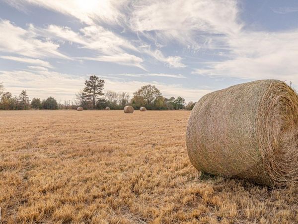 4108 House Drive, Jonesboro, AR 72401