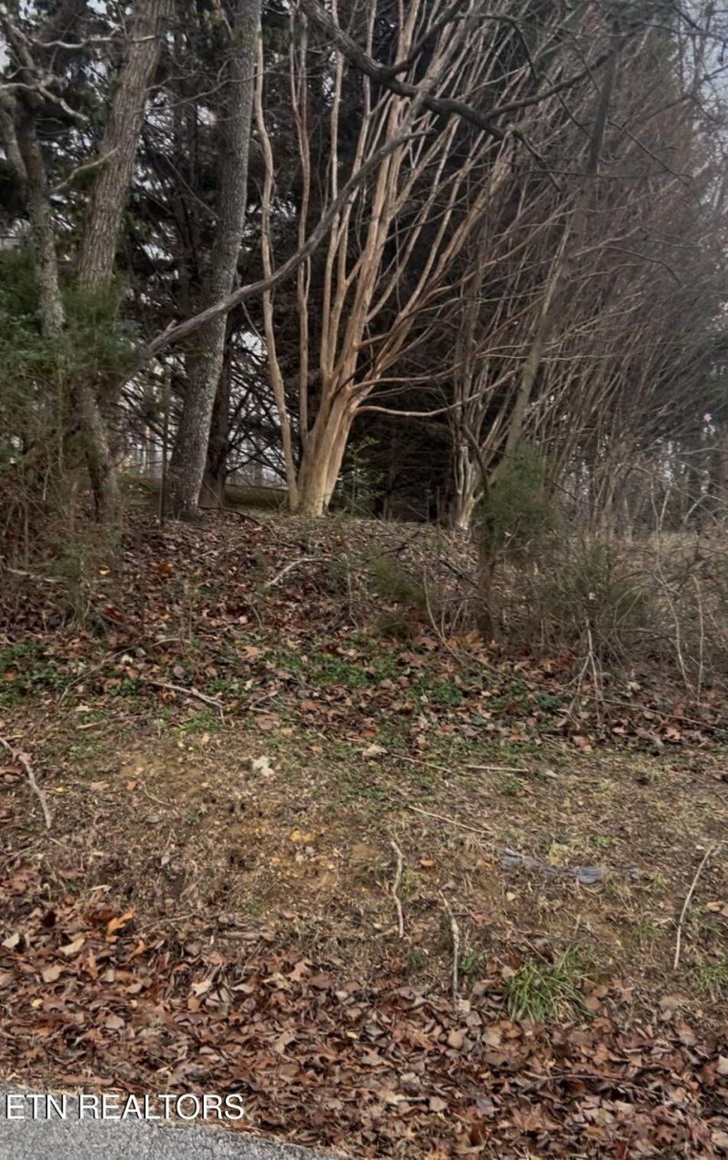 Stephens Rd, Rocky Top, TN 37769 Main Photo