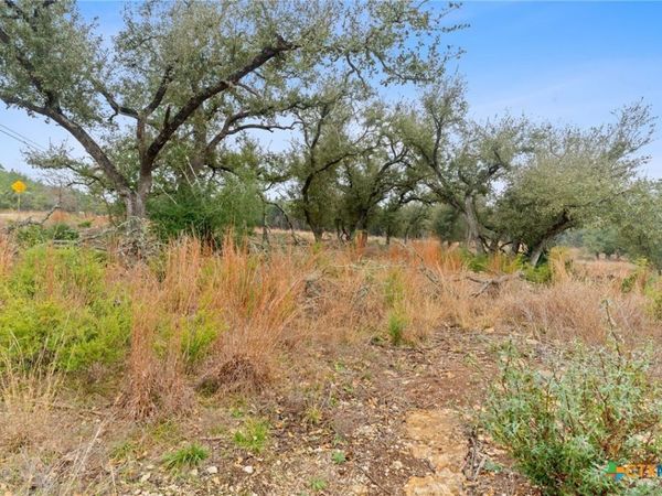 301 Lonesome Trail, Driftwood, TX 78619