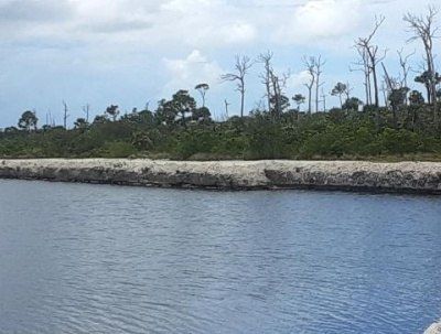 33000 Old State Road 4a Road, No Name, FL 33043 Photo