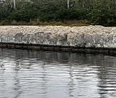 33000 Old State Road 4a Road, No Name, FL 33043 Photo