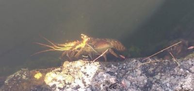 33000 Old State Road 4a Road, No Name, FL 33043 Photo