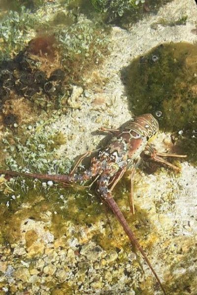 33000 Old State Road 4a Road, No Name, FL 33043 Photo