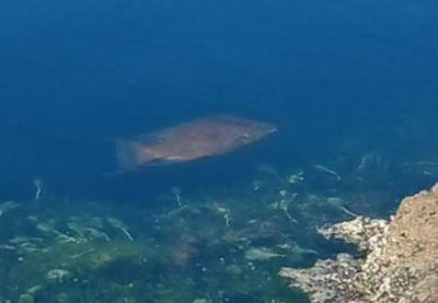 33000 Old State Road 4a Road, No Name, FL 33043 Photo