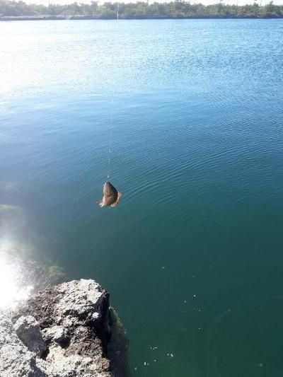 33000 Old State Road 4a Road, No Name, FL 33043 Photo