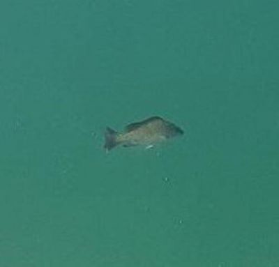 33000 Old State Road 4a Road, No Name, FL 33043 Photo