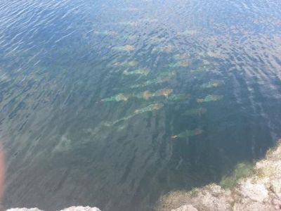 33000 Old State Road 4a Road, No Name, FL 33043 Photo