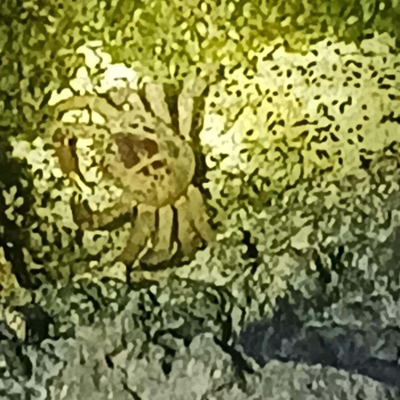 33000 Old State Road 4a Road, No Name, FL 33043 Photo