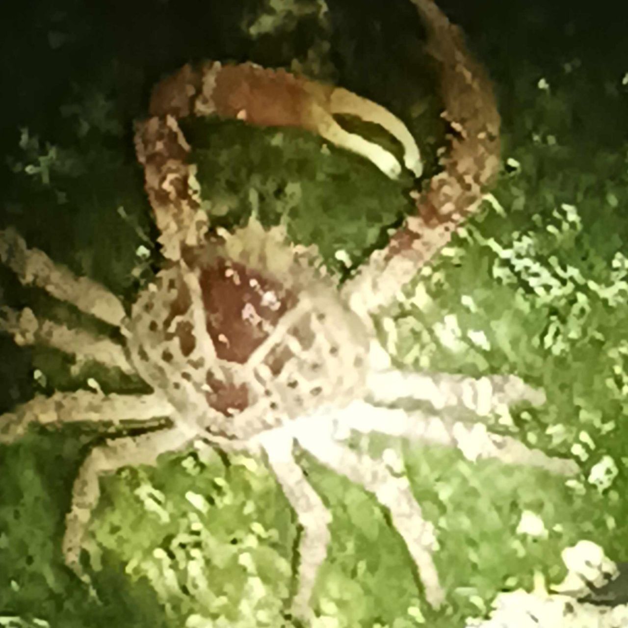 33000 Old State Road 4a Road, No Name, FL 33043 Photo