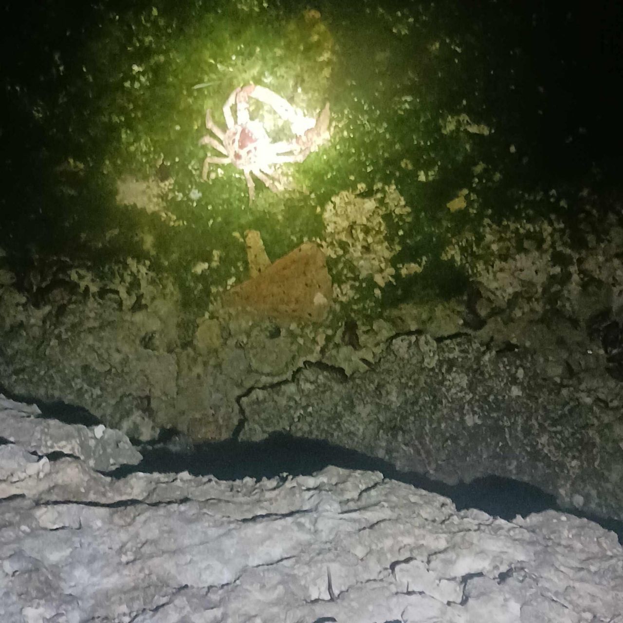 33000 Old State Road 4a Road, No Name, FL 33043 Photo