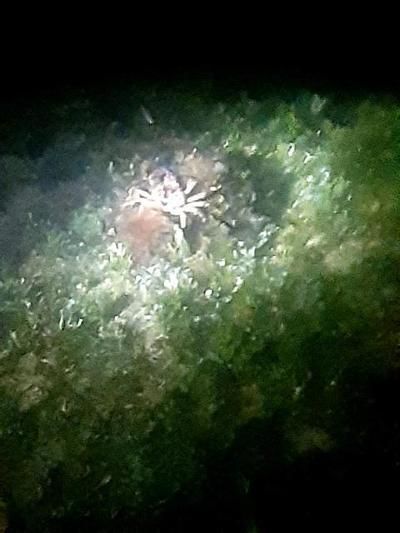 33000 Old State Road 4a Road, No Name, FL 33043 Photo