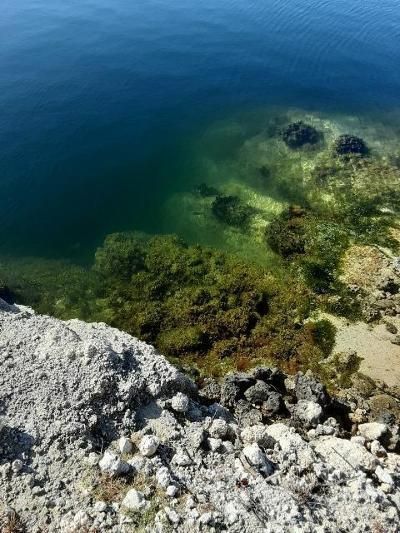 33000 Old State Road 4a Road, No Name, FL 33043 Photo