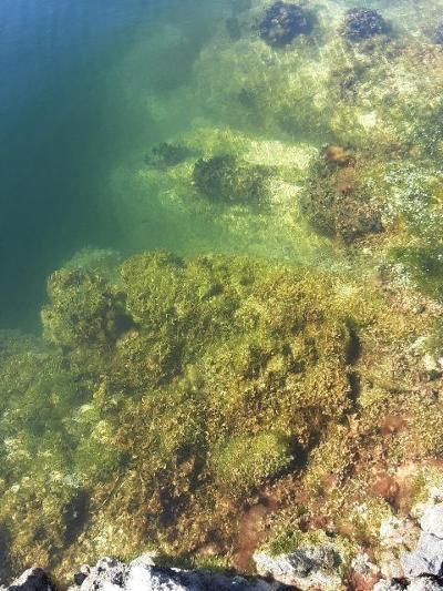 33000 Old State Road 4a Road, No Name, FL 33043 Photo