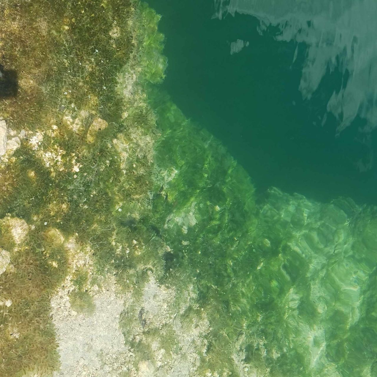 33000 Old State Road 4a Road, No Name, FL 33043 Photo