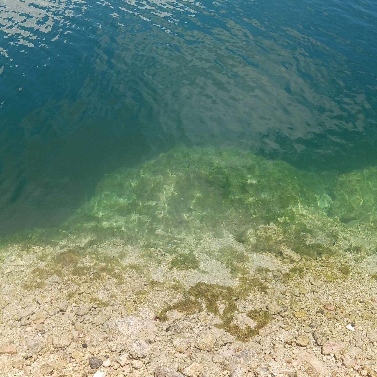 33000 Old State Road 4a Road, No Name, FL 33043 Photo