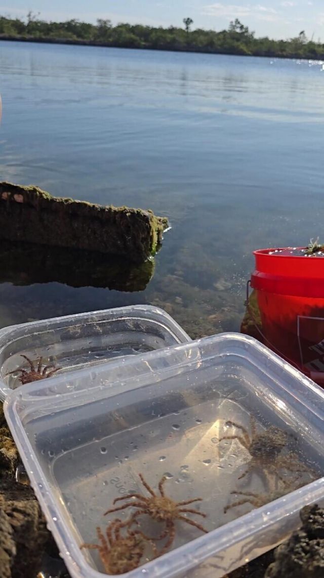 33000 Old State Road 4a Road, No Name, FL 33043 Photo