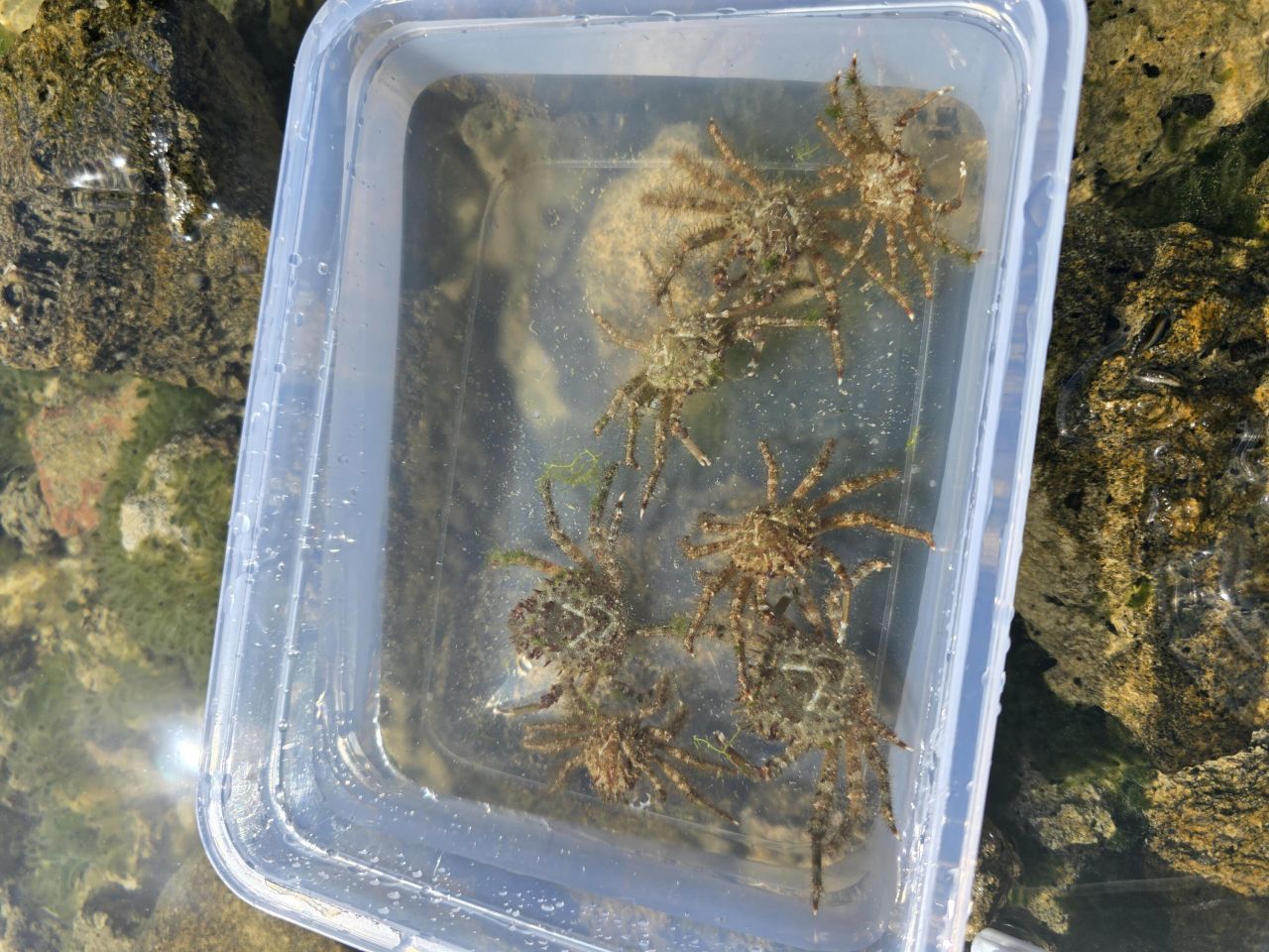 33000 Old State Road 4a Road, No Name, FL 33043 Photo