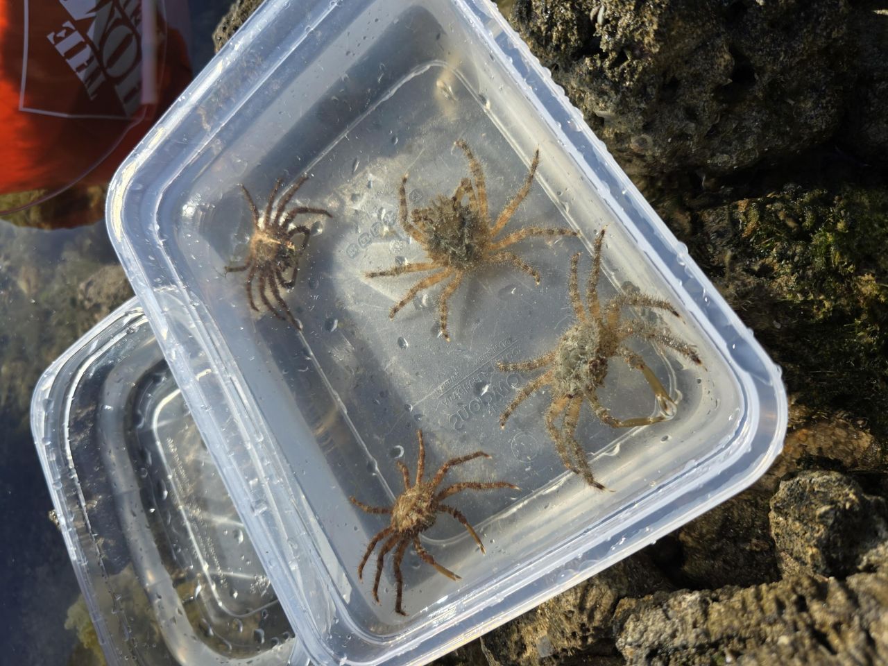 33000 Old State Road 4a Road, No Name, FL 33043 Photo