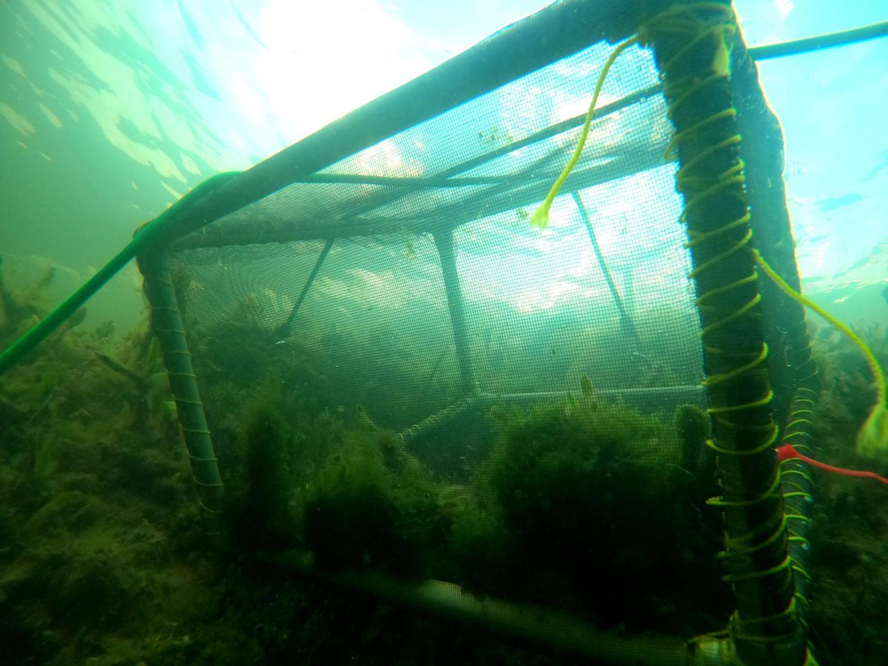 33000 Old State Road 4a Road, No Name, FL 33043 Photo