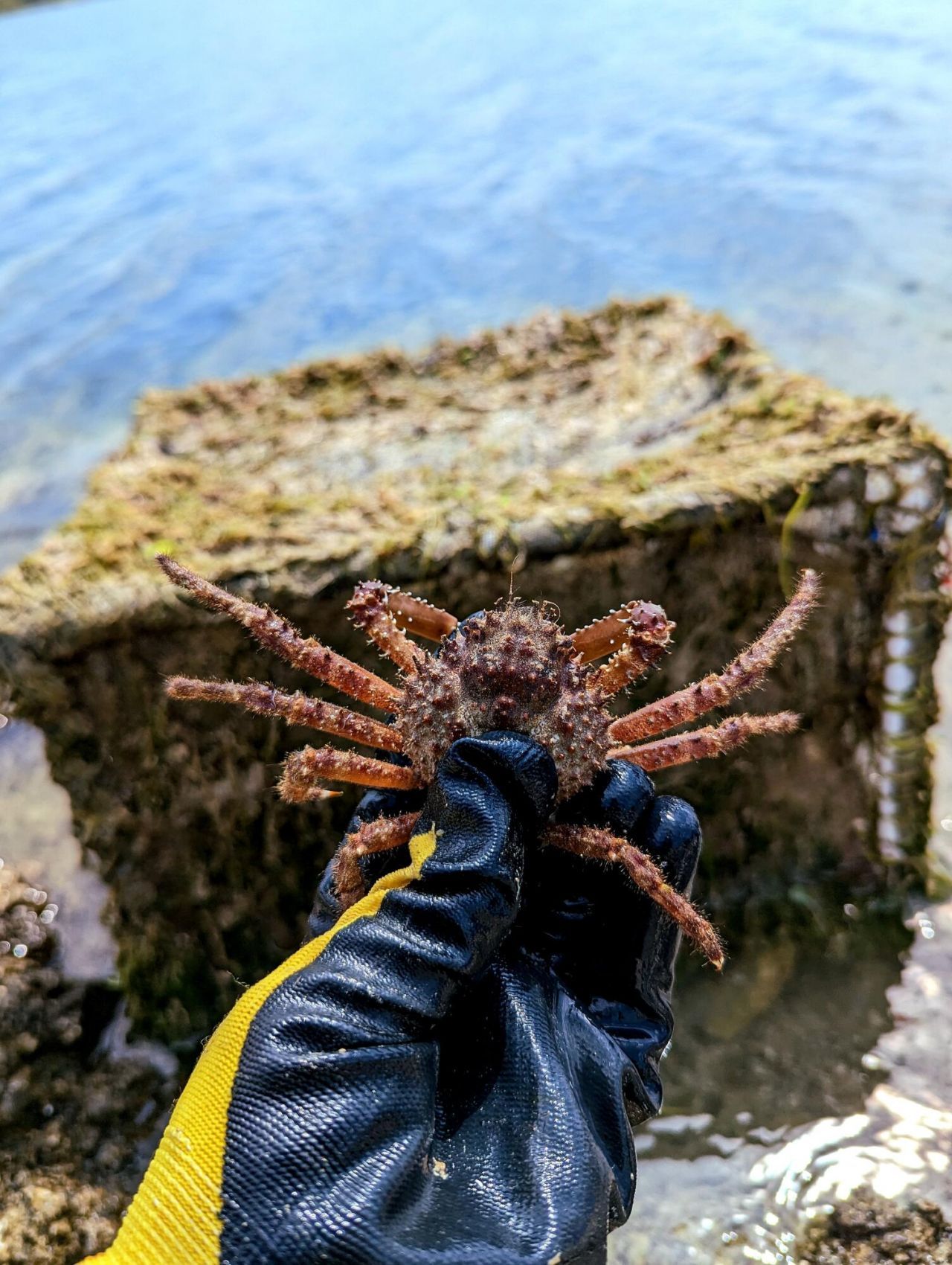 33000 Old State Road 4a Road, No Name, FL 33043 Photo