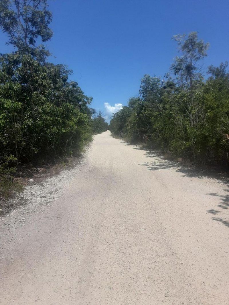 33000 Old State Road 4a Road, No Name, FL 33043 Photo