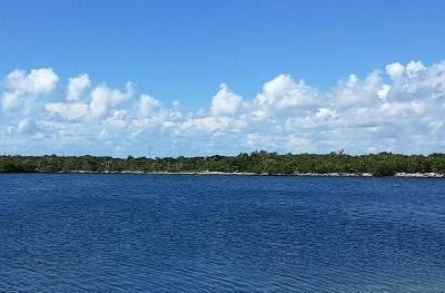 33000 Old State Road 4a Road, No Name, FL 33043 Photo