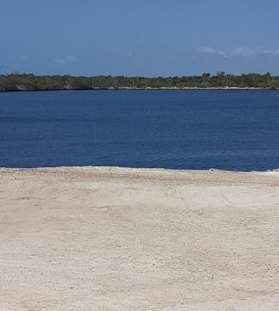 33000 Old State Road 4a Road, No Name, FL 33043 Photo