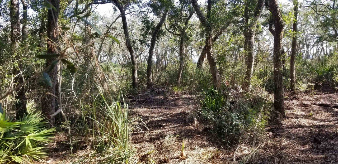 2738 Hwy 98 East, Lanark, FL 32322 Photo