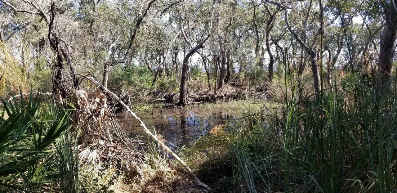 2738 Hwy 98 East, Lanark, FL 32322 Photo