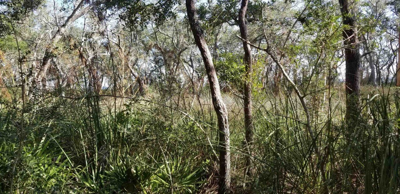 2738 Hwy 98 East, Lanark, FL 32322 Photo