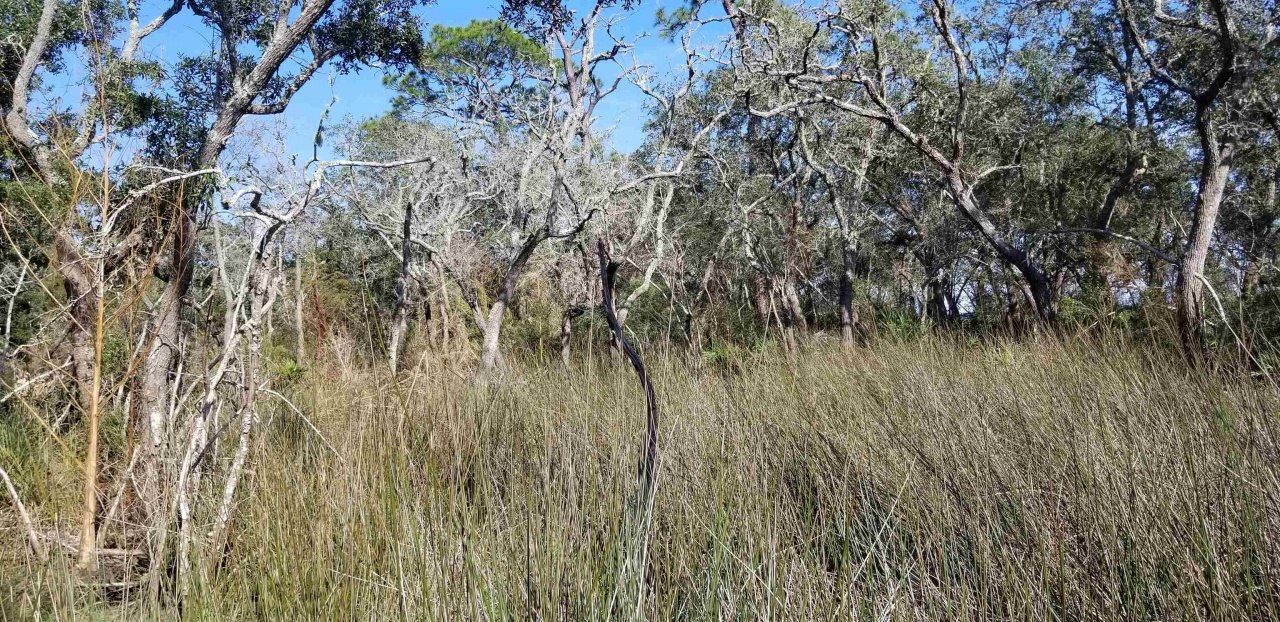 2738 Hwy 98 East, Lanark, FL 32322 Photo