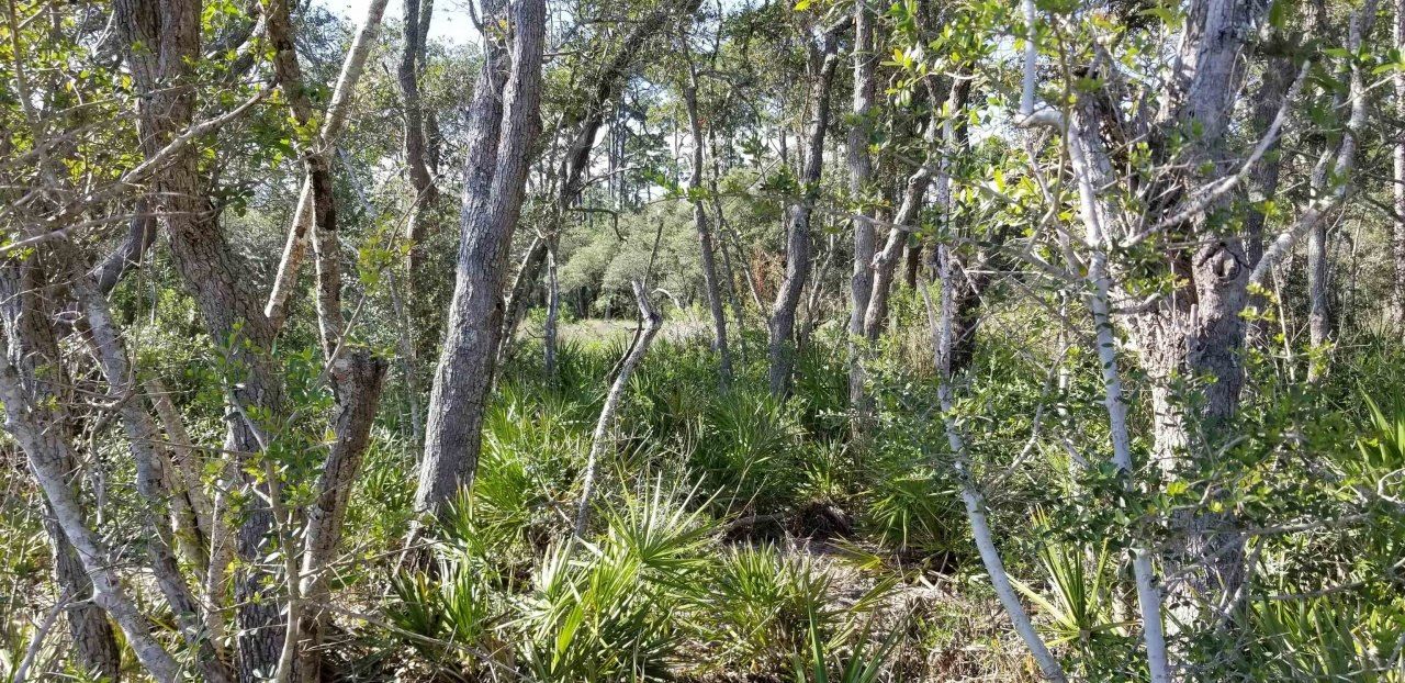 2738 Hwy 98 East, Lanark, FL 32322 Photo