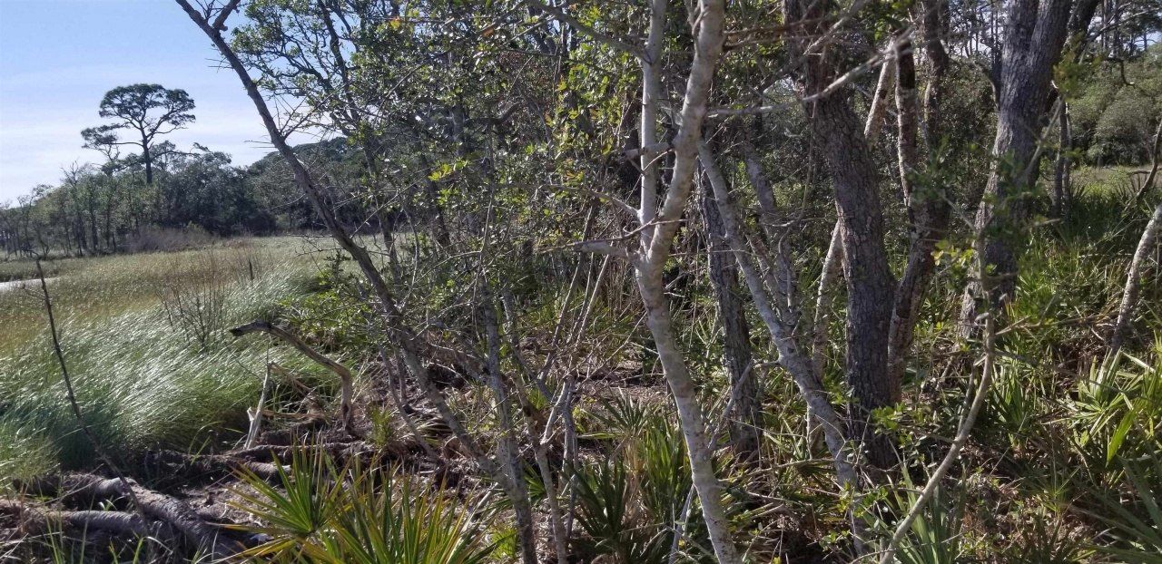 2738 Hwy 98 East, Lanark, FL 32322 Photo