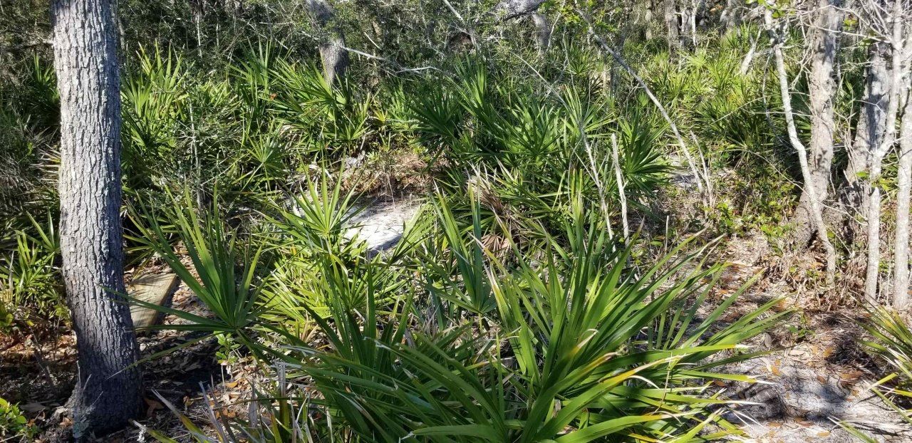 2738 Hwy 98 East, Lanark, FL 32322 Photo