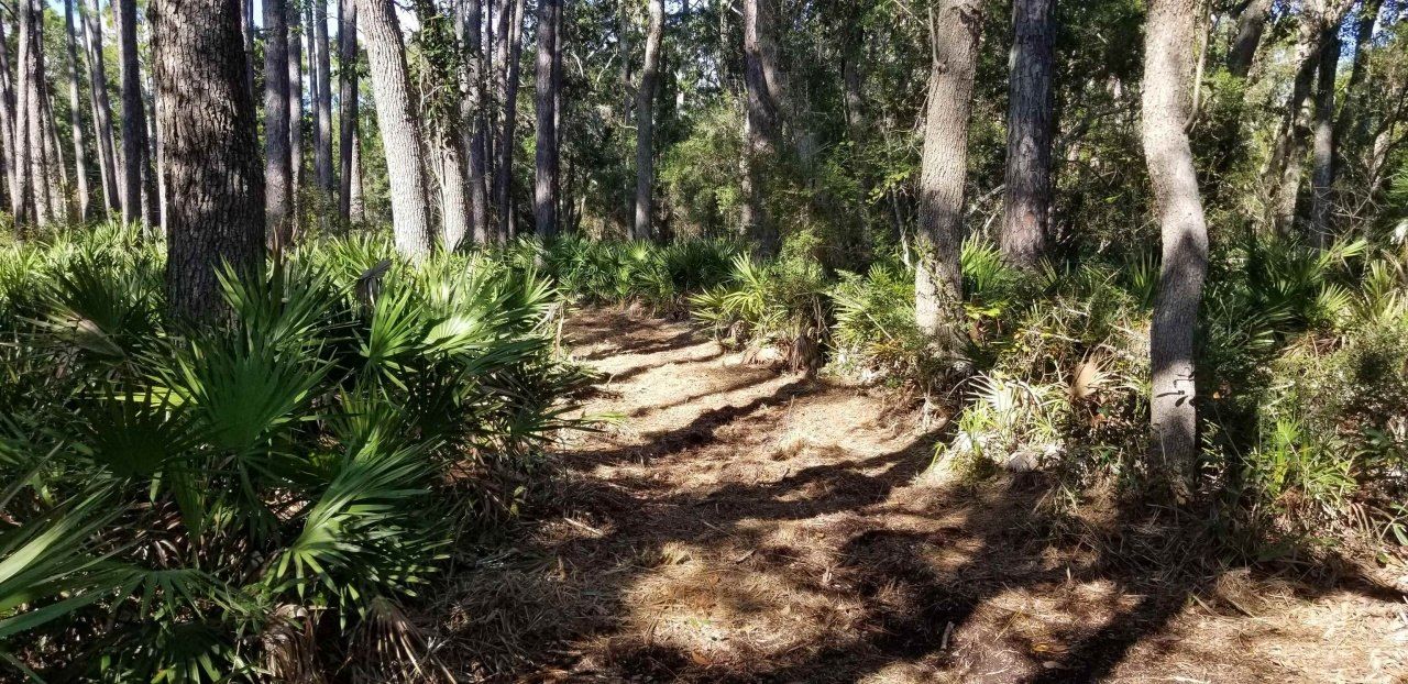 2738 Hwy 98 East, Lanark, FL 32322 Photo