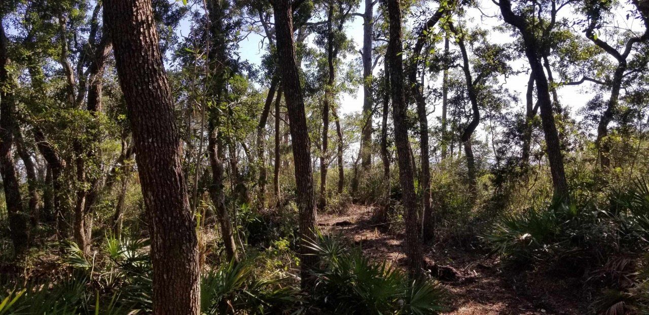 2738 Hwy 98 East, Lanark, FL 32322 Photo