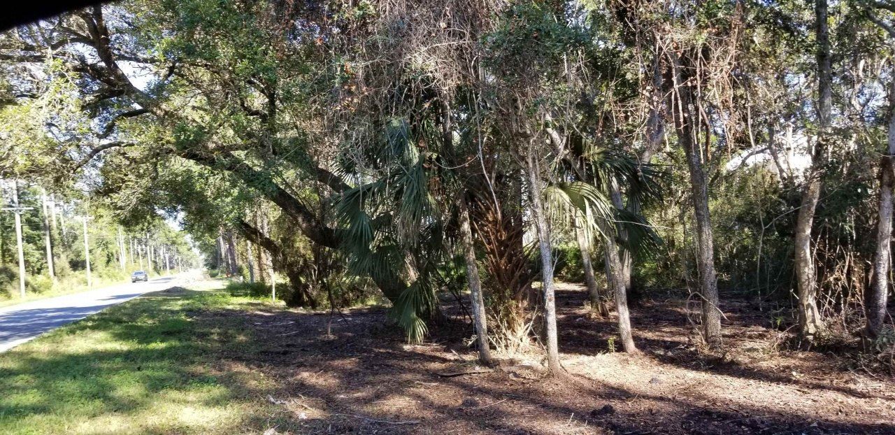 2738 Hwy 98 East, Lanark, FL 32322 Photo