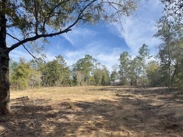 Lot #19 Paradise Lakes Road, Chipley, FL 32428