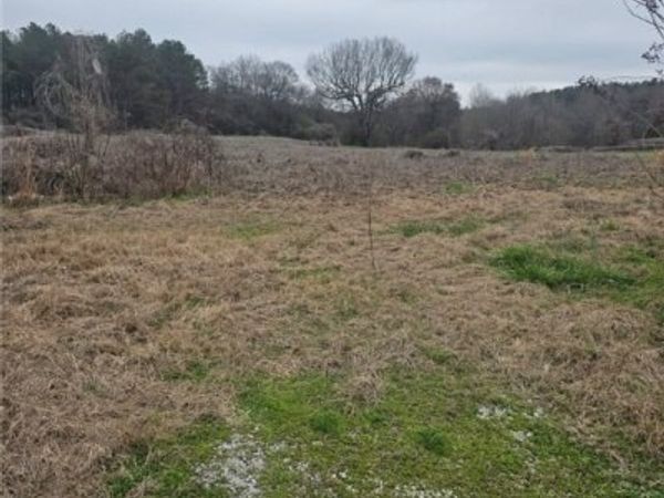 836 county road 7, Greensboro, AL 36744