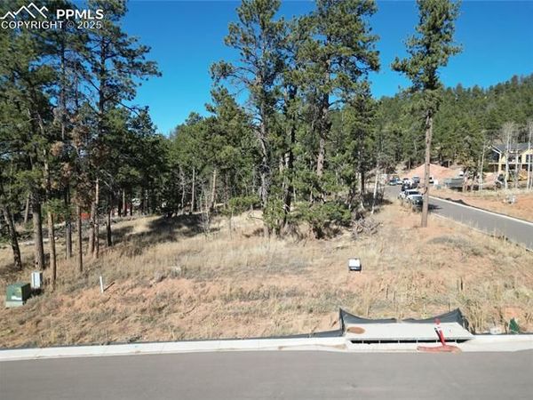 1310 Blue Haven Place, Woodland Park, CO 80863